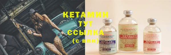 ПСИЛОЦИБИНОВЫЕ ГРИБЫ Щучье