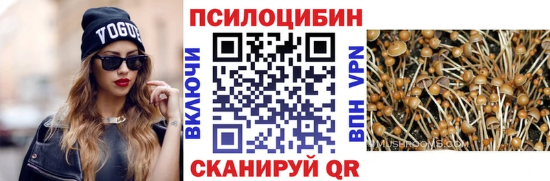 закладка  Юрюзань  Псилоцибиновые грибы GOLDEN TEACHER 